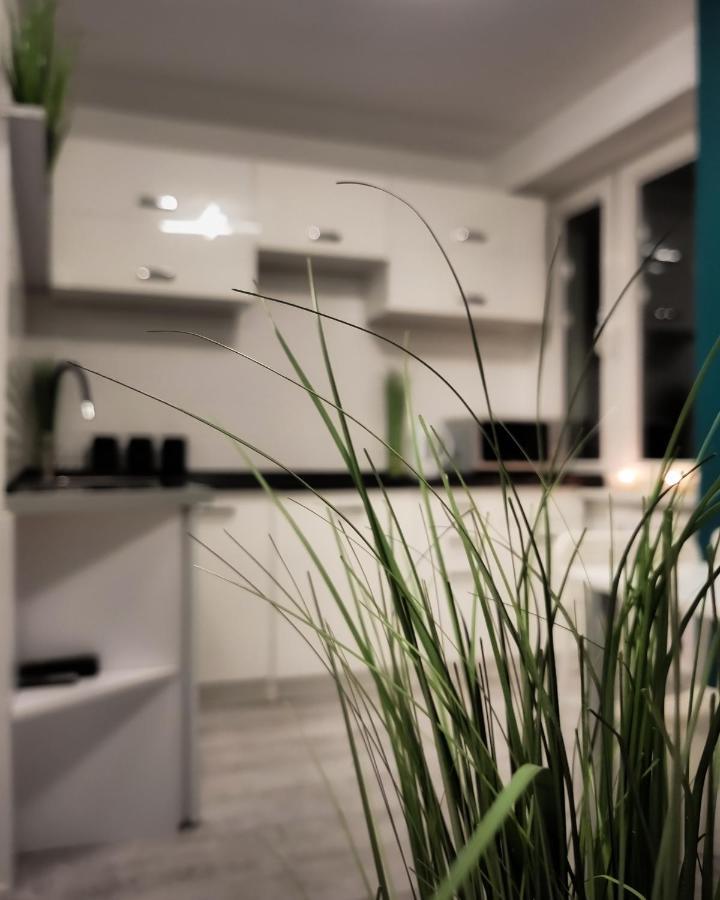 Apartament Green Mragowo-Mazury,Blisko Plaza, Centrum! Wi-Fi! Ngoại thất bức ảnh